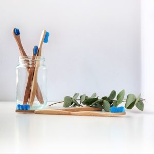 Bamboo Toothbrush Set